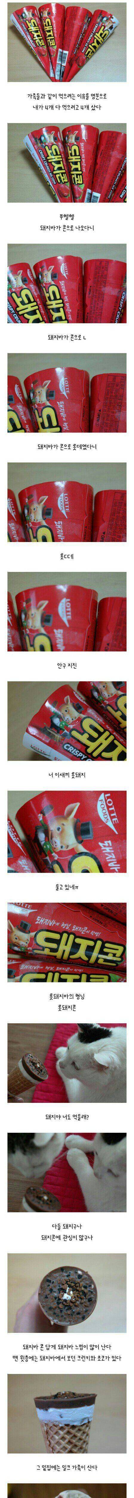 돼지바 콘버전 후기.jpg