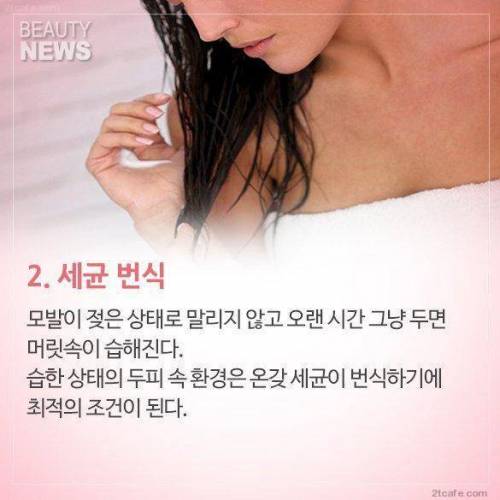 자기 전 머리를 감으면 완전히 말려야하는 이유