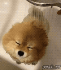 목욕 후 개운함.gif