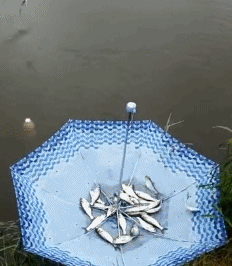 새로운 어망(?).gif