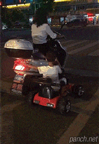 대륙의 유모차.gif
