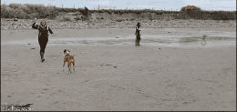 개자연스러웠어.gif