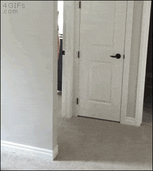 나 심각하다.gif
