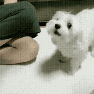 다같이 화이팅.gif