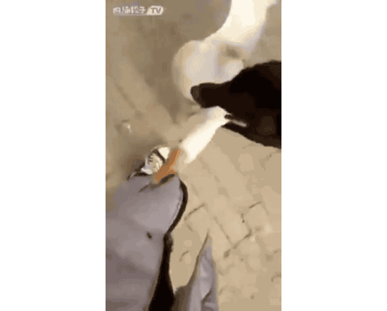 이거 내털이지!!!.gif