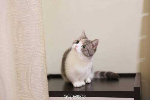별그램의 스타.jpg