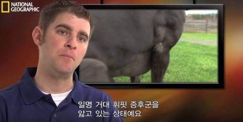 식스팩을 가진 멍멍이.jpg