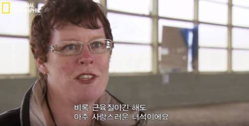 식스팩을 가진 멍멍이.jpg