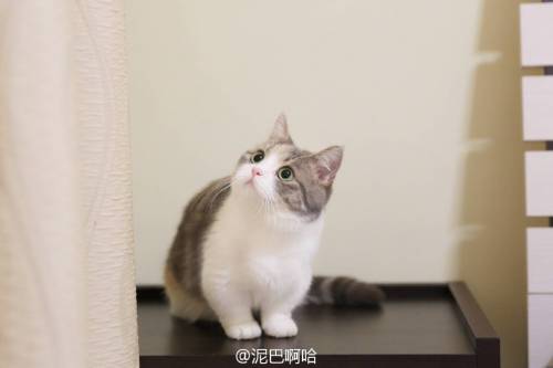 별그램의 스타.jpg
