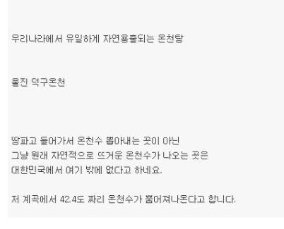 힌국에 한 곳 밖에 없는 자연 용출 온천탕