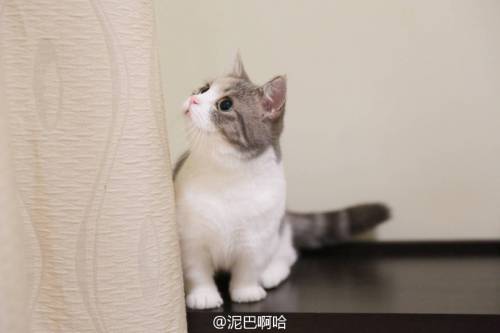 별그램의 스타.jpg