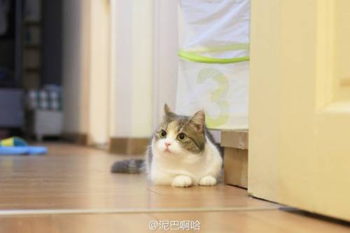 별그램의 스타.jpg