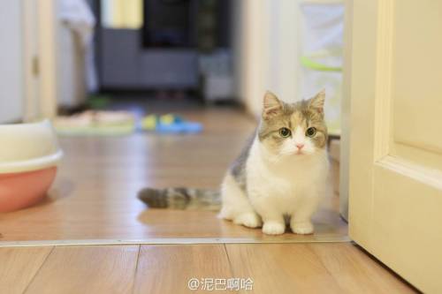 별그램의 스타.jpg