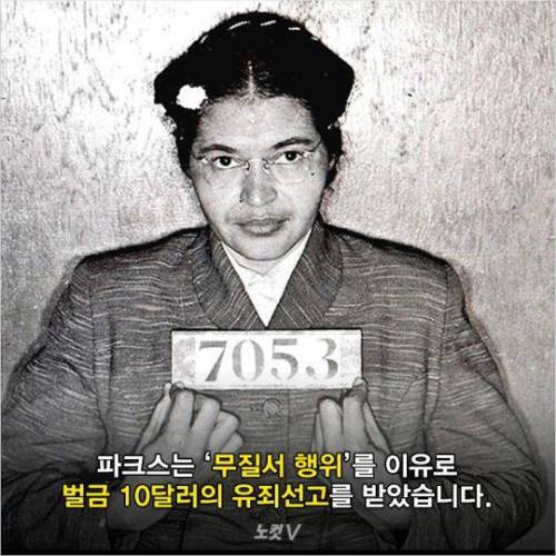 법이 그러니 체포할 뿐이오.jpg