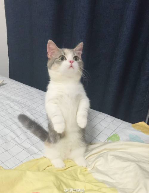 별그램의 스타.jpg