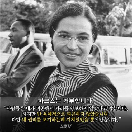 법이 그러니 체포할 뿐이오.jpg