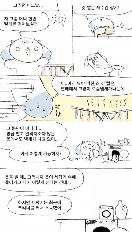 빨래에서 고양이 지린내 나는 만화.jpg