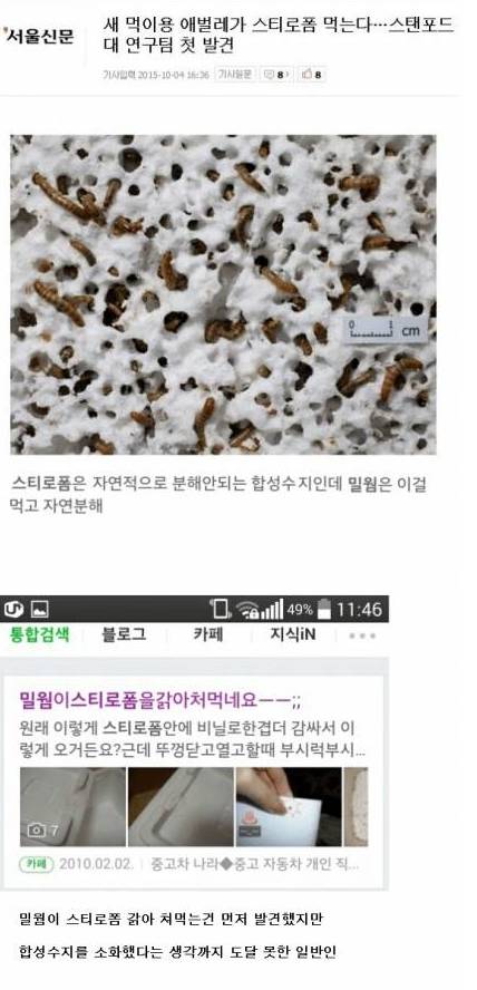 본인은 몰랐던 최초발견.jpg
