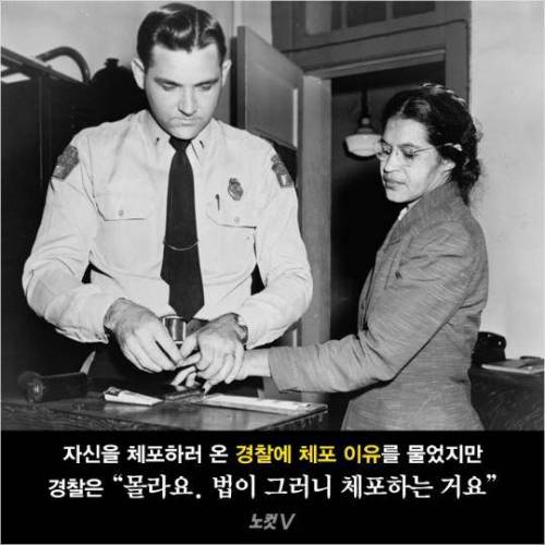 법이 그러니 체포할 뿐이오.jpg