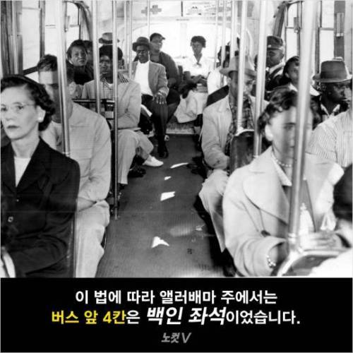 법이 그러니 체포할 뿐이오.jpg