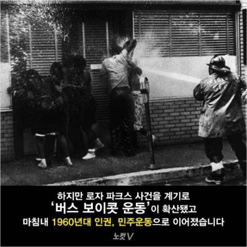 법이 그러니 체포할 뿐이오.jpg