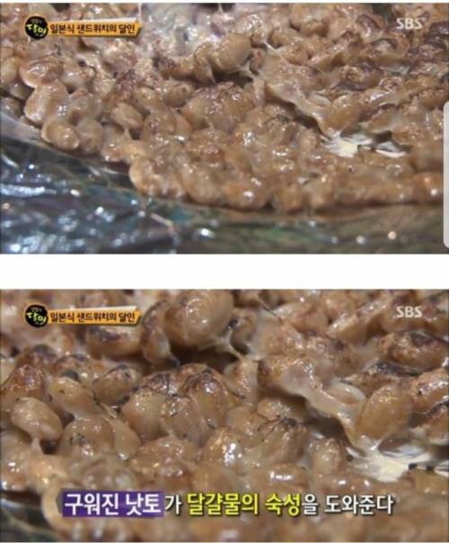 일본식 샌드위치의 달인.jpg