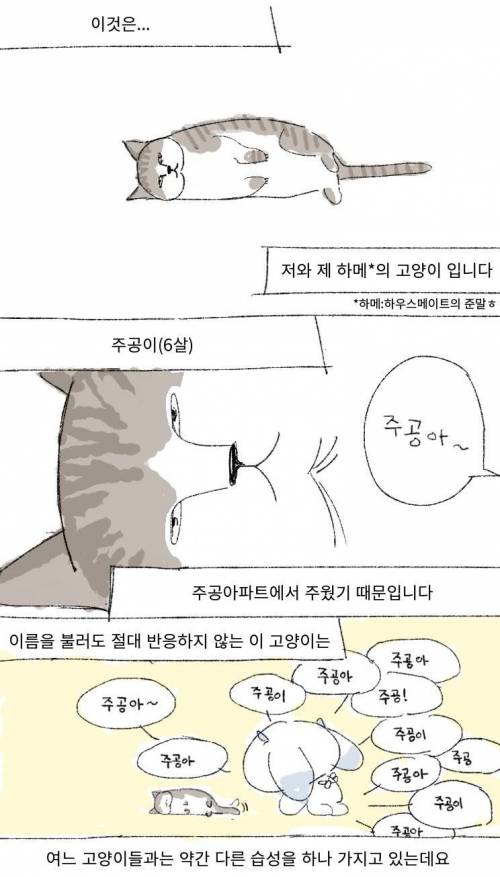빨래에서 고양이 지린내 나는 만화.jpg