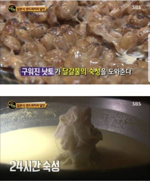 일본식 샌드위치의 달인.jpg