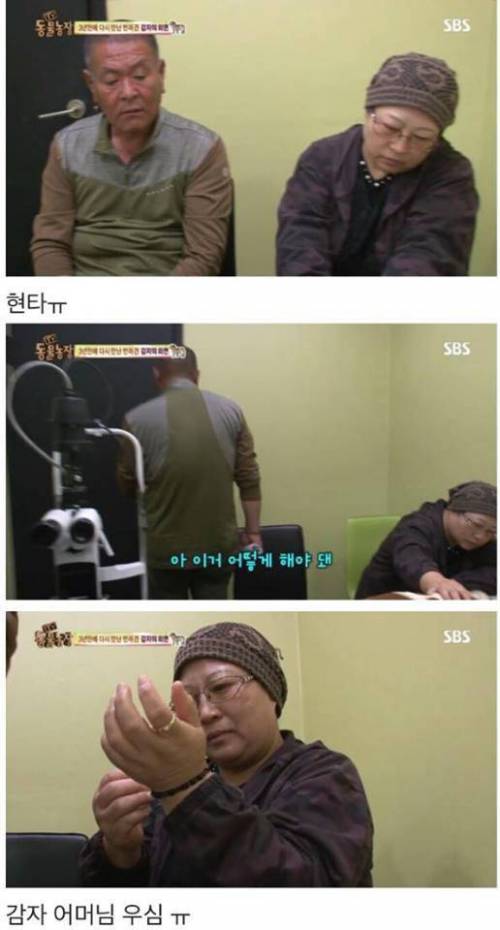 동물농장 감자.jpg