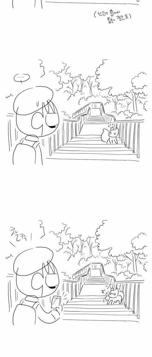 학교 가는 길에 여우 만난 만화.jpg