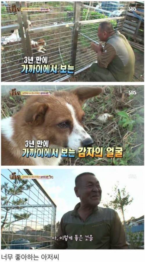 동물농장 감자.jpg