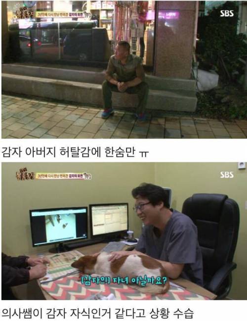 동물농장 감자.jpg