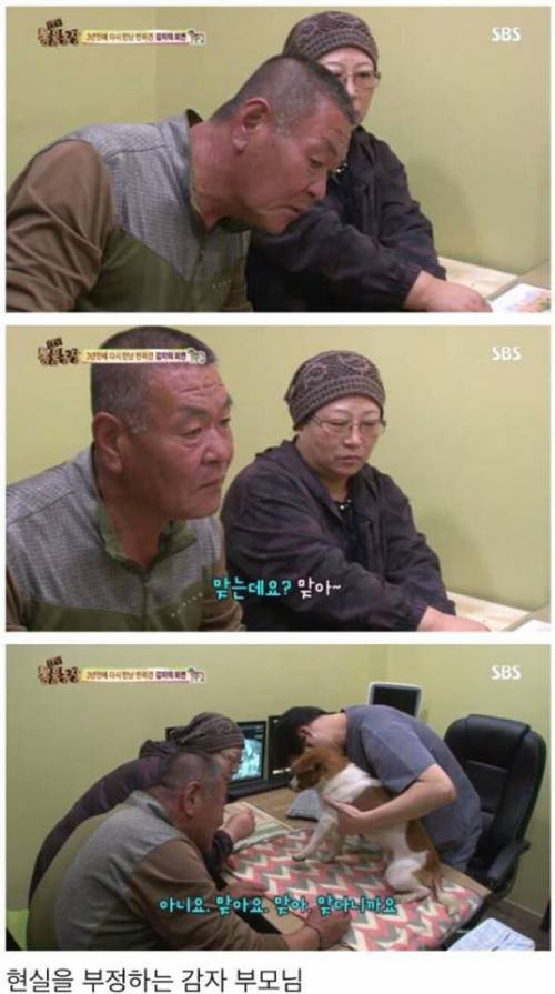 동물농장 감자.jpg