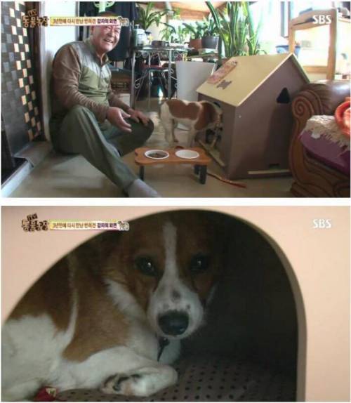 동물농장 감자.jpg