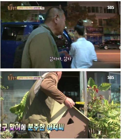 동물농장 감자.jpg