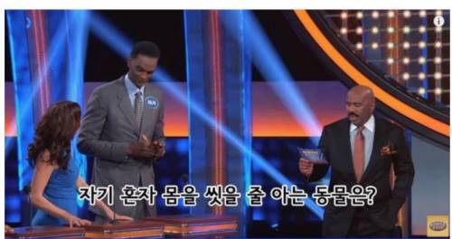 자기 혼자 몸을 씻을 줄 아는 동물은?.jpg