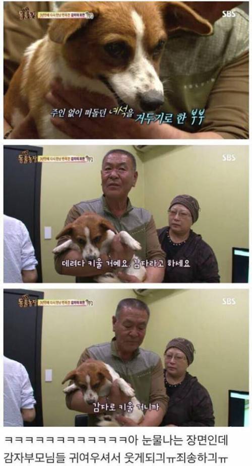 동물농장 감자.jpg