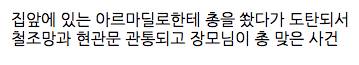 미국에서 실제로 일어났던 도탄 사건.gif