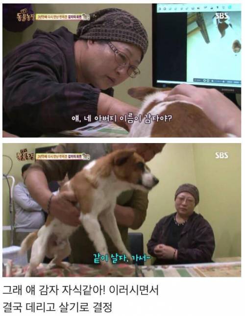 동물농장 감자.jpg