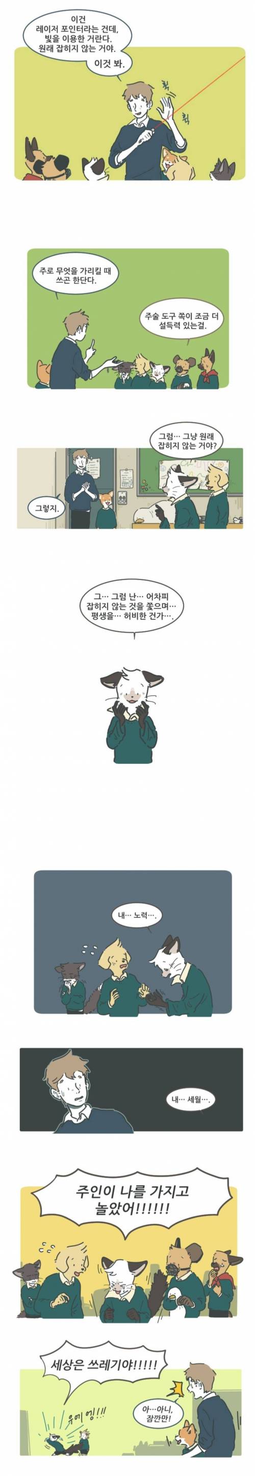 동심파괴 당한 고양이.jpg