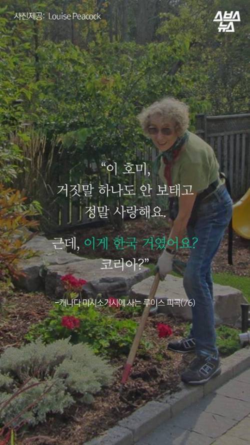 한국 호미 왜 쓰나고요? .jpg