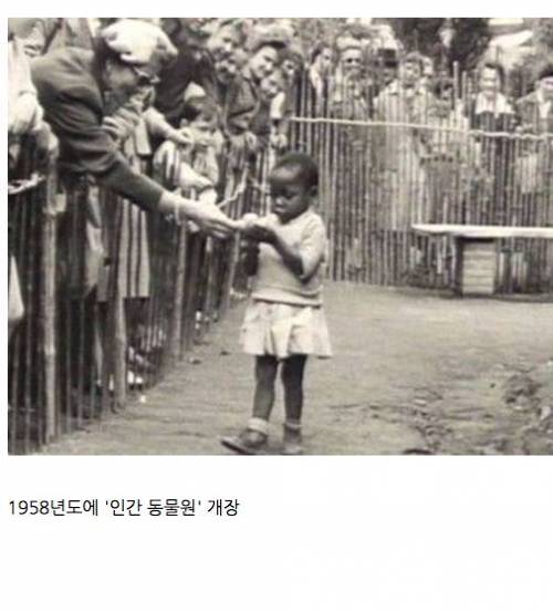 벨기에 인종차별 수준.jpg