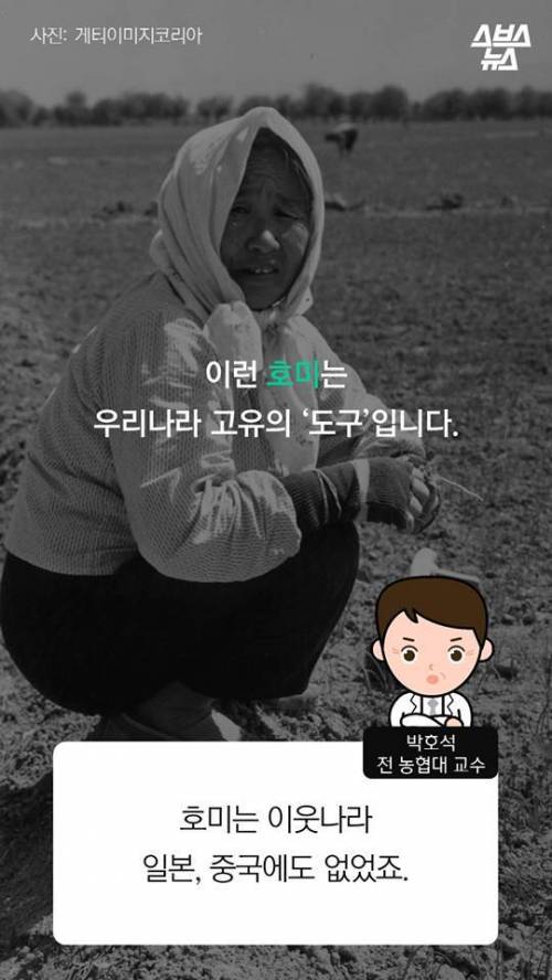 한국 호미 왜 쓰나고요? .jpg