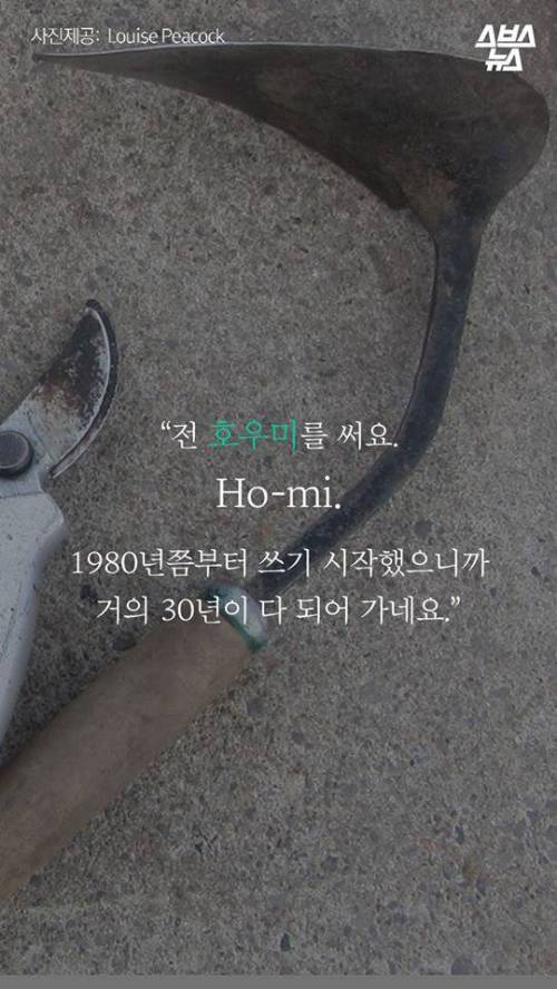 한국 호미 왜 쓰나고요? .jpg