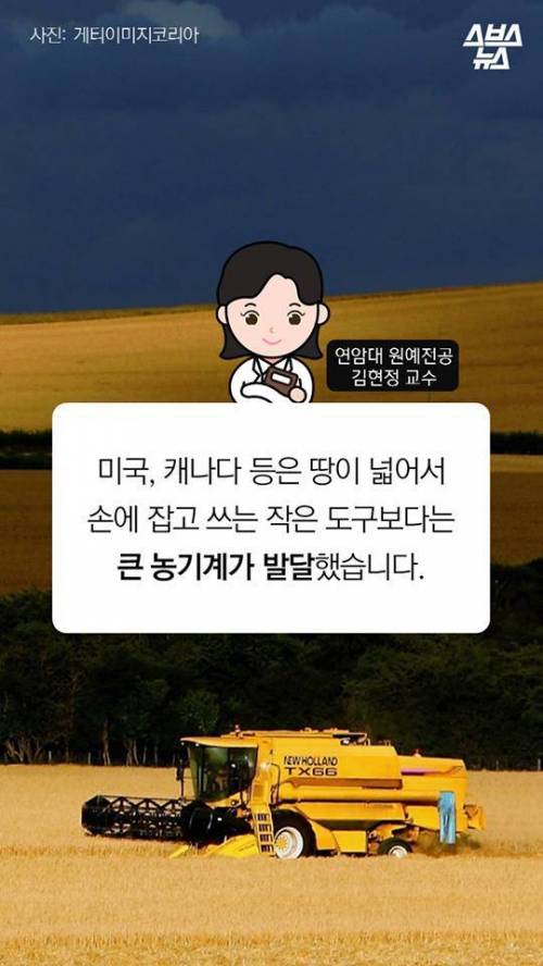 한국 호미 왜 쓰나고요? .jpg