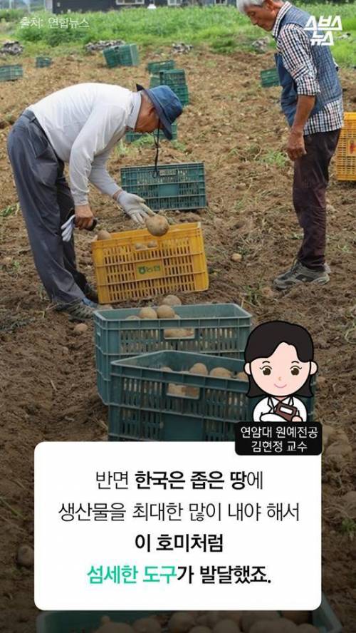 한국 호미 왜 쓰나고요? .jpg