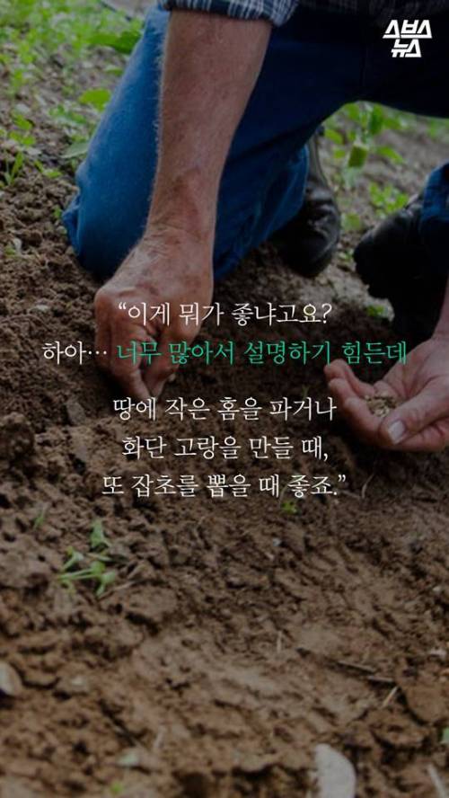 한국 호미 왜 쓰나고요? .jpg
