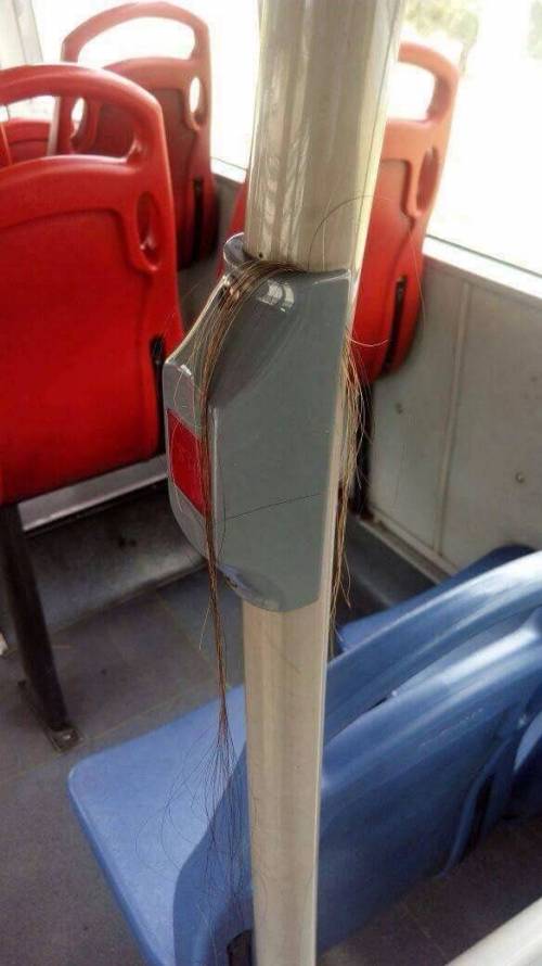 여성분들이 보면 고통스러워 할 짤.jpg