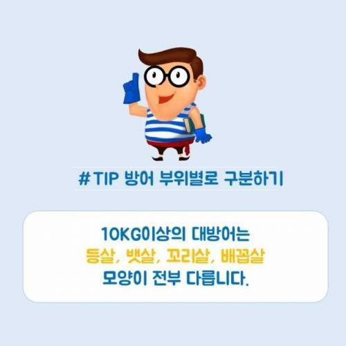 [스압]생선회 구별법.jpg