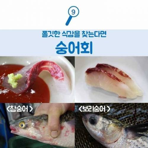 [스압]생선회 구별법.jpg